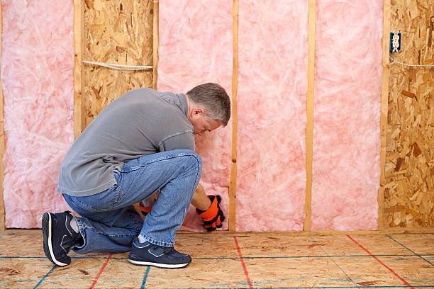 Best Blown-In Insulation  in Dublin, OH